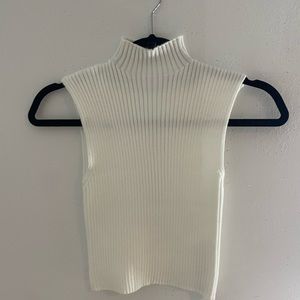 Zara Cropped Turtle Neck